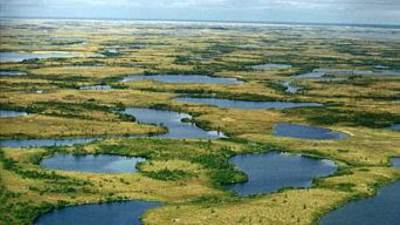 أنباء عن توقف تدفق الغاز في خط الأنابيب بين شبه جزيرة يامال الروسية وأوروبا