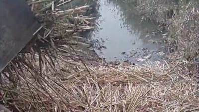  عاجل.. انقلاب عربتين قطار بضائع في إدفو