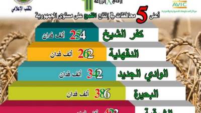 الزراعة: 3 ملايين و659 ألف فدانًا إجمالي محصول القمح 