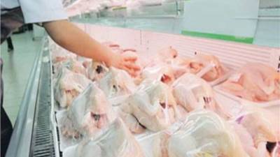 عاجل.. التموين تؤجل فض المظاريف لمناقصة الدواجن المجمدة