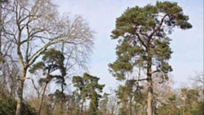 الأرصاد تحذر من فصل الربيع: تقلبات جوية حادة وسريعه