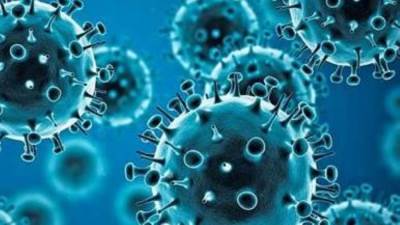 «حسام عبدالغفار»: متوسط عدد المتعافين يومياً من كورونا بلغ 766 