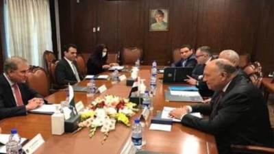 سامح شكري: نحرص على دفع مجالات التعاون الثنائي مع باكستان