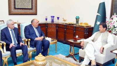 شكري يسلم رسالة موجهة من السيسي إلى رئيس الوزراء الباكستاني