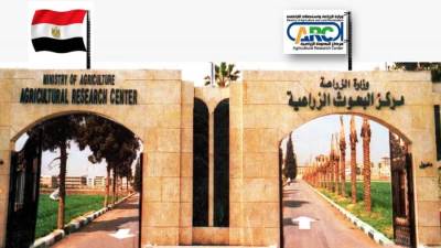 «القصير»: التصنيف الجديد لمركز البحوث يضعه كأفضل مركز بحثي في القطاع الزراعي