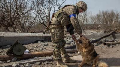 عاجل.. أوكرانيا تعترف: نعاني من خسائر كبيرة في الحرب مع روسيا