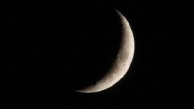 دار الإفتاء المصرية تعلن عن تنبيهات هامة لزكاة الفطر