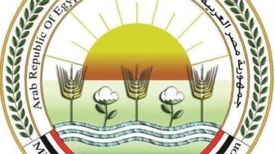 الحكومة تنفي تركيز الدولة بتنفيذ مشروعات البنية التحتية على حساب مشاريع اخرى