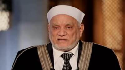 أحمد عمر هاشم: من الضروري وضع سقف للفضائيات