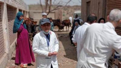 القومي للبحوث ينظم قوافل بيطرية علاجية مجانية لخدمة المجتمع المدني