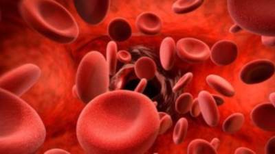 أستاذ الحالات الحرجة بالقصر العيني: 15 سببًا للإصابة بالأنيميا 