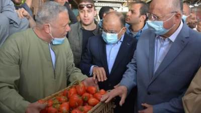 شعراوي: جميع السلع الأساسية متوافرة بالأسواق بتخفيضات مناسبة للمواطنين