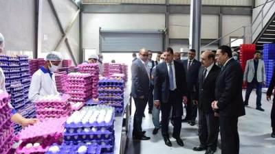 رئيس هيئة الاستثمار يتفقد سير العمل في بنها وميت غمر