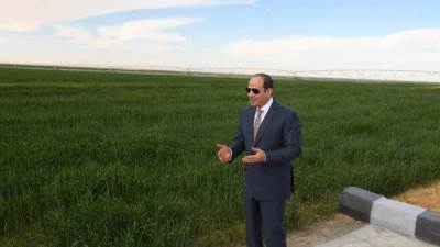 بث مباشر.. الرئيس عبد الفتاح السيسي يشهد موسم حصاد القمح