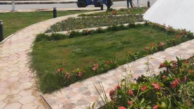 "الإسكان": رفع كفاءة وتطوير الحدائق والمسطحات الخضراء بالمدن الجديدة