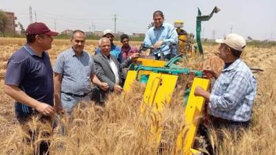 الزراعة خلال وقفة عيد الفطر تتابع حصاد وتوريد القمح في المحافظات