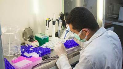 الزراعة: متبقيات المبيدات يفحص 2000 عينة للسوق المحلي والتصدير