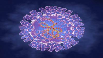 الصحة السعودية: لم نسجل أي إصابة بجدري القردة