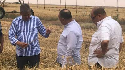 وزير قطاع الأعمال العام يتلقي تقريرا حول تطوير شركة جنوب الوادي بتوشكي