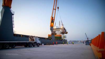 وزير النقل: محطة تحيا مصر TMT تستقبل الدفعة الأولى من أوناش الساحة العملاقة (صور)