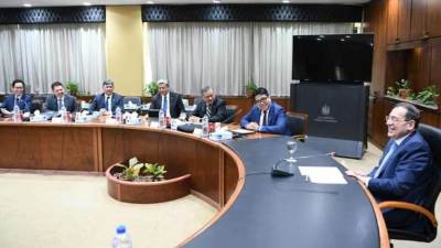 "بتروناس" الماليزية تتطلع لزيادة الاستثمارات في مشروعات الغاز الطبيعى بمصر 