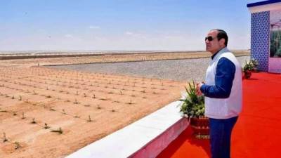 الزراعة في 8 سنوات إنجازات غير مسبوقة وإهتمام كبير من الرئيس السيسي