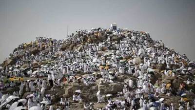 «التضامن»: بدء تصعيد الحجاج إلى جبل عرفات غداً