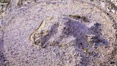 استعداد مطار القاهرة لبدء الجسر الجوي لرحلات الحج القادمة الثلاثاء المقبل