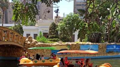 حديقة الحيوان تستقبل نصف مليون زائر خلال إجازة عيد الأضحى المبارك