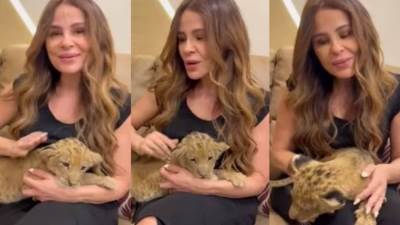 كارول سماحة عن حصولها علي أسد في عيد ميلادها: أهدؤا انها مزحة