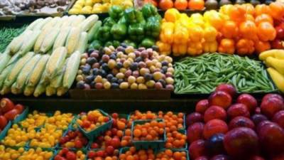 تعرف على عدد المنتجات الزراعية التي تصدرها مصر الى الخارج