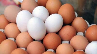 بالفيديو.. حماية المنافسة: 4 سماسرة في السوق المصري تسببوا في ارتفاع أسعار البيض