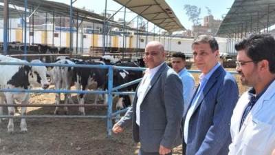 طفرة كبيرة في مؤشرات أداء البنك الزراعي المصري بنهاية النصف الأول من 2022