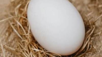 أسعار البيض تنخفض لـ 54 جنيها بالأسواق.. التفاصيل