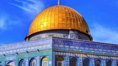 الأزهر يدين بأشد العبارات إرهاب الكيان الصهيوني على غزة