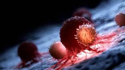 فكرة جديدة لعلاج السرطان عن طريق تثبيت الخلايا السرطانية في أماكنها