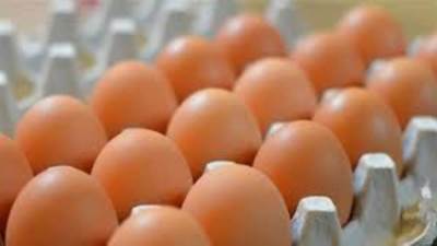 مفاجأة للمستهلك.. طبق البيض يهبط إلى 52 جنيها 