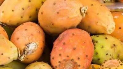 هل التين الشوكي يسبب الإصابة بأمراض جلدية؟ 