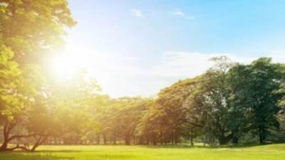 تعرف علي الطقس اليوم السبت 13 أغسطس 2022