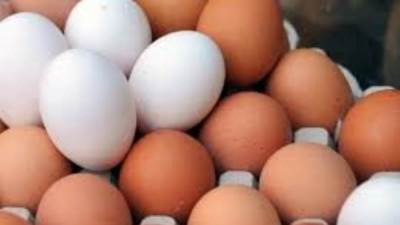 كرتونة البيض ب52 جنيهاً.. أسعار الدواجن والبيض اليوم الأثنين 15 أغسطس 2022