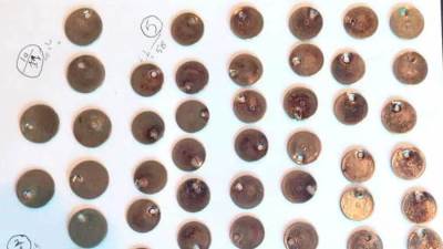 ضبط 97 عملة معدنية بمطار الأقصر الدولي تعود للعصر العثماني 