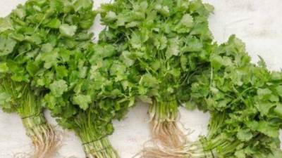 في هذه الحالة .. البقدونس خطر على الحامل!