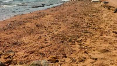 وزيرة البيئة: انتهاء أعمال مكافحة التلوث الزيتى بعدد من شواطئ مدينة دهب