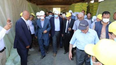 "القصير" يوجه بتوفير تقاوي المحاصيل الزراعية قبل موعد الزراعة بوقت كافي وبأسعار مناسبة