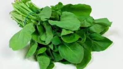 الفوائد الصحية للجرجير .. تعرف عليها 