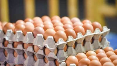 "حماية المنافسة" يلاحق سماسرة البيض قضائيا: اتفقوا على رفع الأسعار