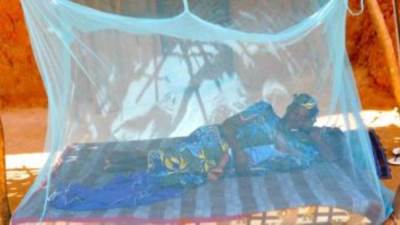 النيجر توزع "ناموسيات" على ما يقرب من 4ملايين أسرة لمواجهة تفشى الملاريا