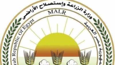 الزراعة: 63 ألف طن إجمالي الصادرات الزراعية المصرية إلى ليبيا