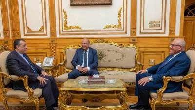 وزير قطاع الأعمال: تصنيع سيارة كهربائيه في مصر حلم نسعى لتحقيقه قريبا