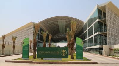 33 مليون نخلة.. تتصدر بها المملكة دول العالم في صادرات التمور